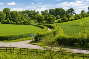 Summer View- click for photo gallery